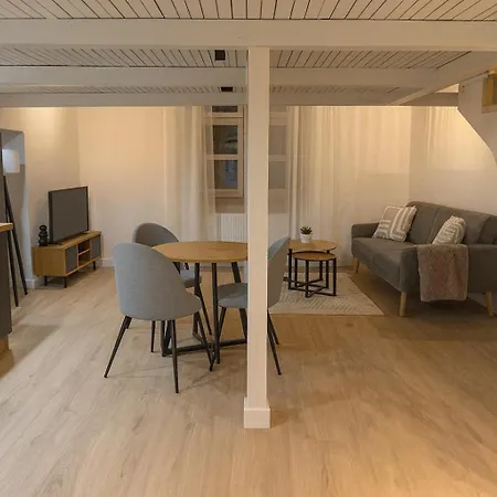 Nowoczesny Loft Przy Starowce Danilowiczowska 18 Apartman *